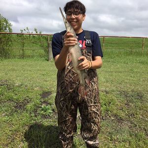 Meet your Posher, Edu